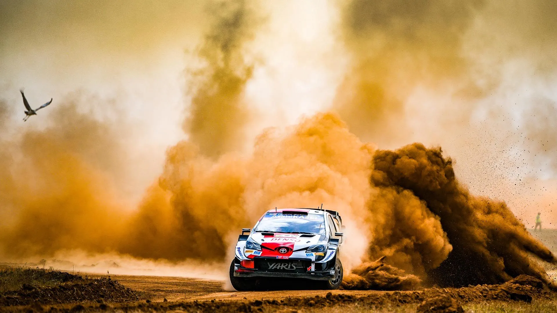 Safari Rally Kenya: Inside the World's Toughest Rally — and How to Watch It Like a Local