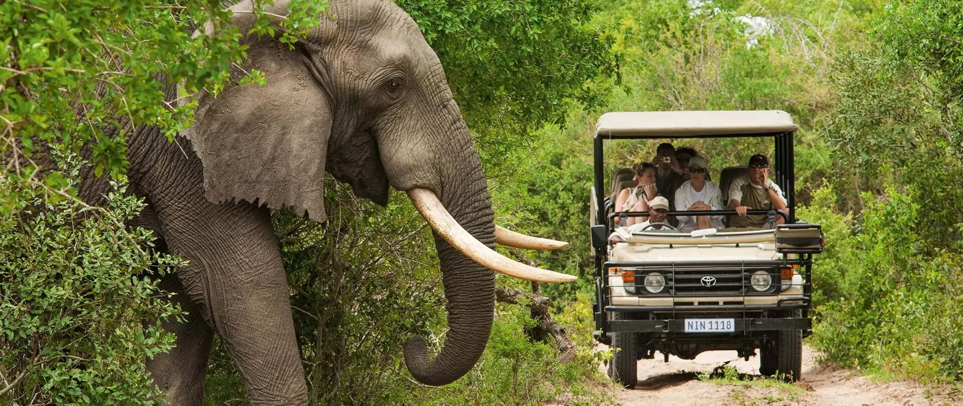 Kruger Safari in South Africa