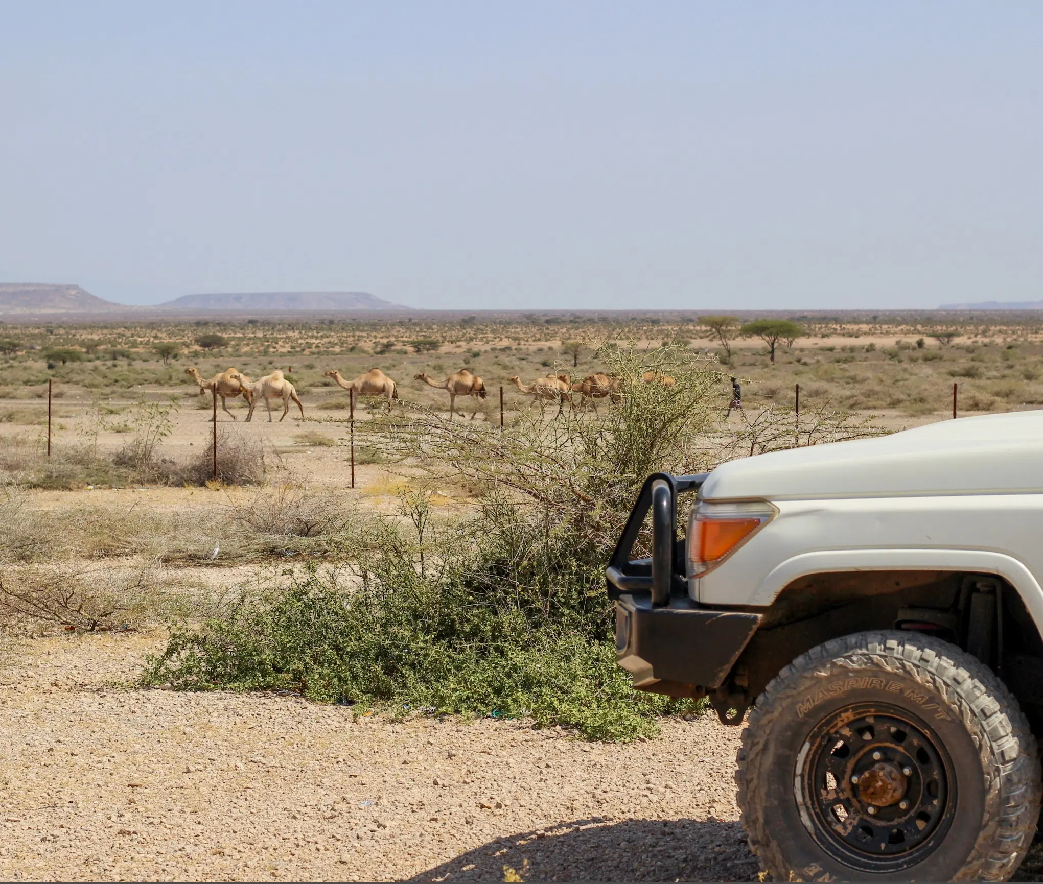 NORTHERN-KENYA ROADTRIP