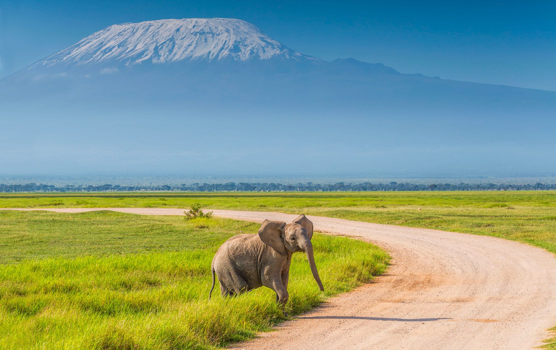 3 Day Amboseli National Park Safari